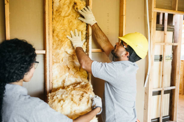 Best Best Insulation Companies  in Eagleton Village, TN