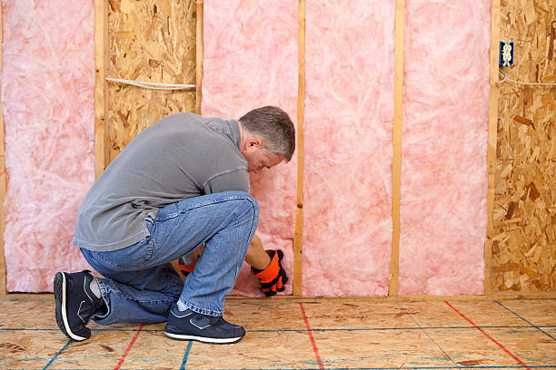 Best Insulation Removal  in Eagleton Village, TN